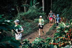 BIB: 
                            <button type="button" onclick="openModal(25824923)" class="btn btn-primary btn-sm float-right btn-popup" data-toggle="modal" data-target=".modal-high-quality">
                        <i class="fas fa-shopping-cart"></i> Add to Cart
                    </button>
                                            <button type="button" onclick="isThisMe(25824923, true)" class="btn btn-success btn-sm float-right btn-popup btn-isme hidden" data-toggle="tooltip" data-placement="bottom" title="นี่คือรูปของคุณใช่ไหม คลิกที่นี่เพื่อเอาเข้าอัลบั้ม">
                        <i class="fas fa-plus"></i> Add to album
                    </button>
                    <button type="button" onclick="isThisMe(25824923, false)" class="btn btn-warning btn-sm float-right btn-popup btn-isnotme hidden">
                        <i class="fas fa-ban"></i> Remove from album
                    </button>